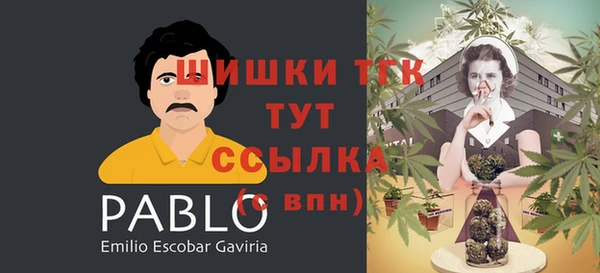 винт Медвежьегорск