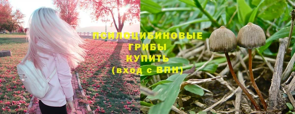 бутират Медногорск