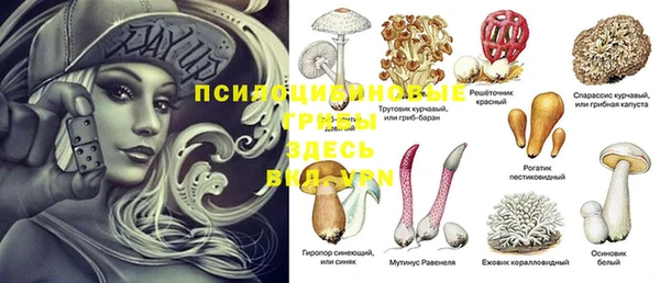 винт Медвежьегорск