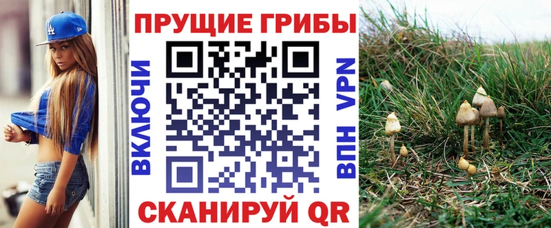 MEGA сайт  дарнет шоп  Гай  Галлюциногенные грибы прущие грибы 