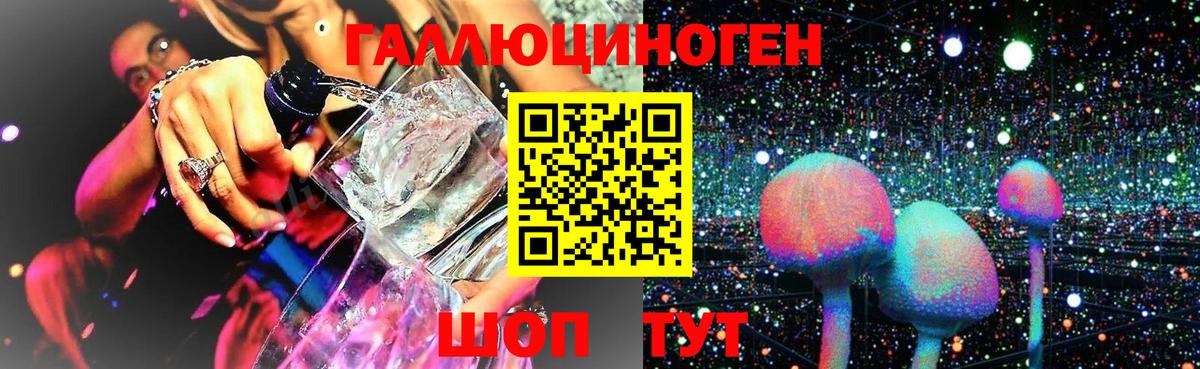 Галлюциногенные грибы ЛСД  Гай  как найти   Галлюциногенные грибы GOLDEN TEACHER 