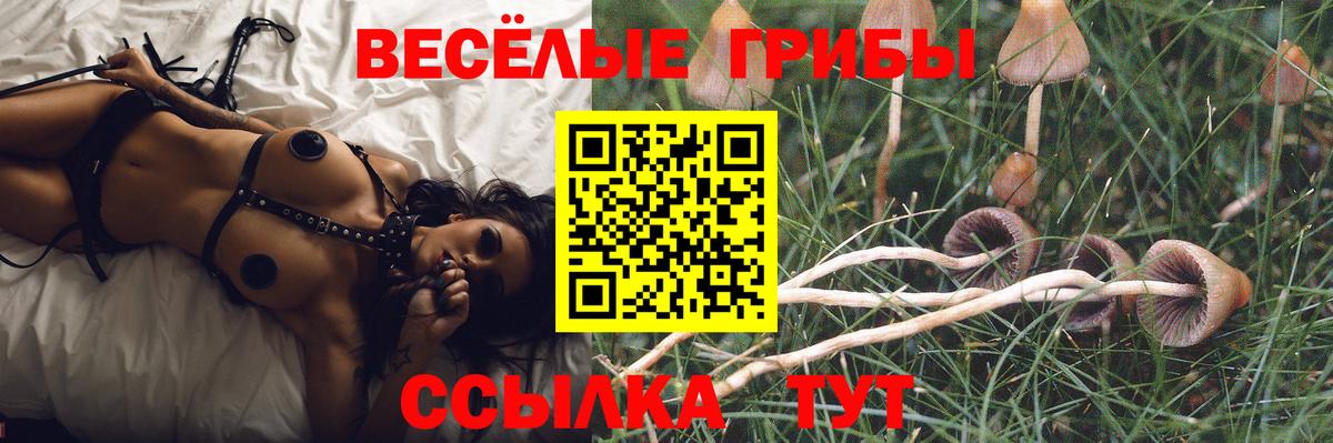 Псилоцибиновые грибы прущие грибы  Псилоцибиновые грибы ЛСД  Вход с VPN  Гай 