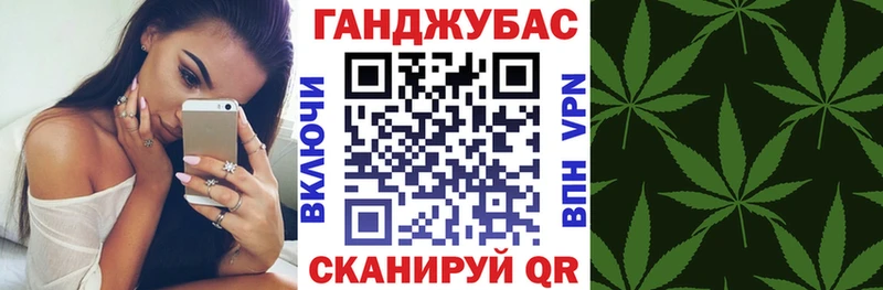 где продают наркотики  Гай  Шишки марихуана семена 